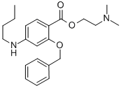 CAS#: 100311-18-0, 2-(Benzyloxy)-4-Butylamino-Benzoic Acid 2-(Dimethylamino)Ethyl Ester