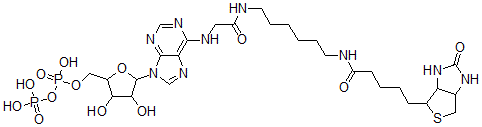 CAS#: 100844-62-0, Biotinyl-Adenoside Diphosphate