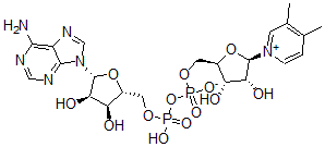 CAS 登录号：102686-21-5， [[(2R,3S,4R,5R)-5-(6-氨基嘌呤-9-基)-3,4-二羟基四氢呋喃-2-基]甲氧基-羟基磷酰][(2R,3S,4R,5R)-5-(3,4-二甲基吡啶-1-鎓-1-基)-3,4-二羟基四氢呋喃-2-基]甲基磷酸酯