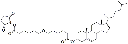 CAS#: 103003-22-1, (2,5-Dioxopyrrolidin-1-Yl) 6-[[(3S,10R,13R,17R)-10,13-Dimethyl-17-[(2R)-6-Methylheptan-2-Yl]-2,3,4,7,8,9,11,12,14,15,16,17-Dodecahydro-1H-Cyclopenta[a]Phenanthren-3-Yl]Oxy]Hexanoate