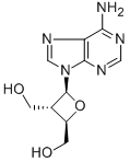 CAS 登录号：103913-16-2， [(2R,3R,4S)-2-(6-氨基嘌呤-9-基)-4-(羟基甲基)氧杂环丁-3-基]甲醇