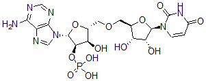 CAS#: 10453-52-8, Uridylyl-(2'-5')-Adenosine