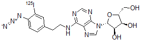 CAS 登录号：105811-49-2， N(6)-2-(4-叠氮基-3-碘苯基)乙基腺苷