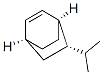 CAS 登录号：106562-31-6， 7-丙-2-基双环[2.2.2]辛-2-烯