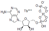 CAS 登录号：107870-98-4， 铽-间型霉素三磷酸酯络合物