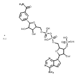 CAS 登录号：108392-03-6， alpha-烟酰胺腺嘌呤二核苷酸磷酸酯钠盐