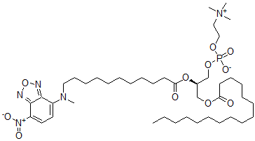 CAS 登录号：108535-67-7， [(2R)-3-棕榈酰氧基-2-[11-[甲基-(4-硝基-2,1,3-苯并恶二唑-7-基)氨基]十一碳酰氧基]丙基]2-三甲基铵乙基磷酸酯盐