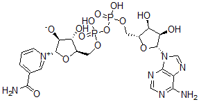 CAS 登录号：108646-17-9， (2S,3S,4S,5R)-5-[[[[(2R,3S,4R,5R)-5-(6-氨基嘌呤-9-基)-3,4-二羟基四氢呋喃-2-基]甲氧基-羟基磷酰]氧基-羟基磷酰]氧基甲基]-2-(3-氨基甲酰吡啶-1-鎓-1-基)-4-羟基四氢呋喃-3-醇