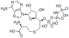 CAS 登录号：109214-84-8， 5'-((高半胱氨酰)甲基)腺苷 5'-(beta,gamma-亚胺三磷酸酯)