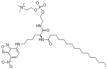 CAS 登录号：109897-91-8， 2-[[(2S)-2-(棕榈酰氨基)-6-[(4-硝基-2,1,3-苯并恶二唑-7-基)氨基]己酰]氨基]乙基2-三甲基铵乙基磷酸酯盐