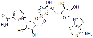 CAS#: 112345-60-5, Carbanicotinamide adenine dinucleotide