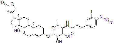 CAS#: 112761-66-7, 3-(4-Azido-3-iodophenyl)propionamide-4-(4,6-dideoxyglucosyl)digitoxigenin