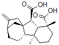 CAS 登录号：1164-45-0， (1R,2S,3S,4R,8S,9S,12R)-4,8-二甲基-13-亚甲基四环[10.2.1.0(1,9).0(3,8)]十五烷-2,4-二甲酸