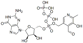 CAS 登录号：117643-63-7， 鸟苷三磷酸吡哆醛