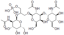 CAS#: 119903-55-8, Capsular Polysaccharide Type 6, Actinobacillus Pleuropneumoniae
