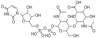 CAS#: 121324-56-9, Uridine 5'-(O-2-acetamido-2-deoxymannopyranuronosyl acid-(1-4)-2-acetamide-2-deoxyglucopyranosyl diphosphate)