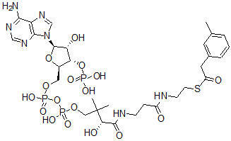 CAS#: 124900-43-2, 3-Tolylacetyl-coenzyme A
