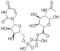 CAS#: 125710-37-4, [[[(2R,3S,4R,5R)-5-(2,4-Dioxopyrimidin-1-Yl)-3,4-Dihydroxyoxolan-2-Yl]Methoxy-Hydroxyphosphoryl]Oxy-Hydroxyphosphoryl] (2R,3S,4S,5S)-5-Acetamido-3,4,6-Trihydroxyoxane-2-Carboxylate