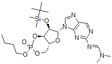CAS#: 126922-67-6, n-Butyl 2'-Dimethyl-Tert-Butylsilyl-N(2)-(N,N-Dimethylamino)Methylene-Guanosine 3,',5'-Cyclic Phosphate