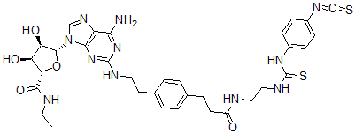 CAS#: 129666-43-9, (2S,3S,4R,5R)-5-[6-Amino-2-[2-[4-[3-[2-[(4-Isothiocyanatophenyl)Carbamothioylamino]Ethylamino]-3-Oxopropyl]Phenyl]Ethylamino]Purin-9-Yl]-N-Ethyl-3,4-Dihydroxyoxolane-2-Carboxamide