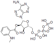 CAS#: 130799-34-7, [(2R,3R,4R,5R)-2-(6-Aminopurin-9-Yl)-4-Hydroxy-5-[[Hydroxy-(Hydroxy-Phosphonooxyphosphoryl)Oxyphosphoryl]Oxymethyl]Oxolan-3-Yl] 2-Methylaminobenzoate