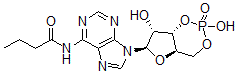 CAS 登录号：13117-60-7， N6-单丁酰基腺苷-3',5'-环单磷酸