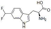 CAS 登录号：131490-35-2， (2S)-2-氨基-3-[6-(二氟甲基)-1H-吲哚-3-基]丙酸