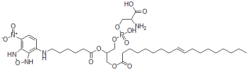 CAS#: 132880-14-9, 2-Amino-3-[Hydroxy-[2-[6-[(4-Nitro-1,3-Dihydro-2,1,3-Benzoxadiazol-7-Yl)Amino]Hexanoyloxy]-3-[(E)-Octadec-9-Enoyl]Oxypropoxy]Phosphoryl]Oxypropanoic Acid