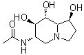 CAS 登录号：134100-29-1， N-[(1S,6S,7R,8R,8aR)-1,7,8-三羟基辛氢-6-吲哚嗪基]乙酰胺