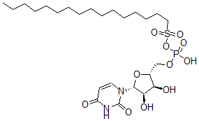 CAS#: 134282-88-5, [[(2R,3S,4R,5R)-5-(2,4-Dioxopyrimidin-1-Yl)-3,4-Dihydroxyoxolan-2-Yl]Methoxy-Hydroxyphosphoryl] Hexadecane-1-Sulfonate