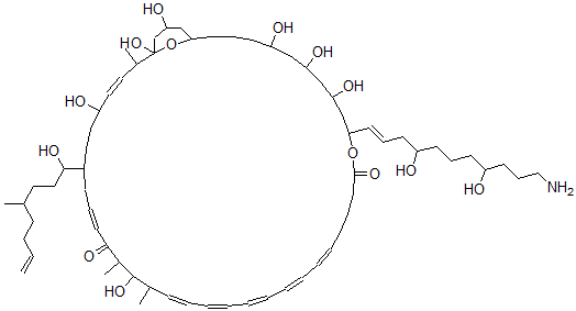 CAS#: 134965-82-5, 31-[(E)-11-Amino-4,8-Dihydroxyundec-1-Enyl]-1,5,14,33,35,37,43-Heptahydroxy-8-(1-Hydroxy-4-Methyloct-7-Enyl)-2,13,15-Trimethyl-30,45-Dioxabicyclo[39.3.1]Pentatetraconta-3,10,16,18,20,22,24-Heptaene-12,29-Dione