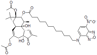 CAS 登录号：137034-69-6， 佛波醇-13-乙酸酯-12-N-甲基-N-4-(N,N'-二(2-羟基乙基)氨基)-7-硝基苯并-2-氧杂-1,3-二氮唑-氨基月桂酸酯