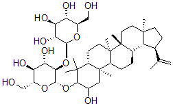 CAS#: 140231-39-6, 3-O-(beta-D-Glucopyranosyl(1-2)beta-D-Glucopyranosyl)-2alpha,3beta-Dihydroxylup-20(29)-Ene