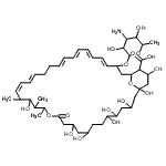 CAS 登录号：1405-32-9， 33-[(3-氨基-3,6-二脱氧吡喃己糖苷)氧基]-1,3,5,6,9,11,17,37-八羟基-15,16,18-三甲基-13-氧代-14,39-二氧杂双环[33.3.1]三十九碳-19,21,25,27,29,31-己烯-36-羧酸