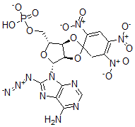 CAS#: 141096-03-9, [(3aR,4R,6R,6aR)-6-(6-Amino-8-Azidopurin-9-Yl)-1',2',4'-Trinitrospiro[3a,4,6,6a-Tetrahydrofuro[4,3-d][1,3]Dioxole-2,5'-Cyclohexa-1,3-Diene]-4-Yl]Methyl Hydrogen Phosphate