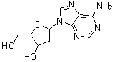 CAS 登录号：14365-45-8， 9-(2-脱氧呋喃戊糖基)-9H-嘌呤-6-胺