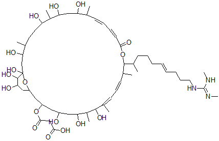 CAS 登录号：143906-45-0， 3-[[(13E,15Z,21E,23E)-19-[(E)-10-[(N,N'-二甲基甲脒基)氨基]癸-6-烯-2-基]-1,3,7,9,11,25,27,29,35,36-十羟基-4,8,12,20,24,26-六甲基-17-氧代-18,37-二氧杂双环[31.3.1]三十七碳-13,15,21,23-四烯-31-基]氧基]-3-氧代丙酸
