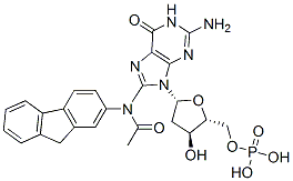CAS#: 14490-86-9, 8-(N-Fluoren-2-Ylacetamido)-2'-Deoxyguanosine 5'-Monophosphate