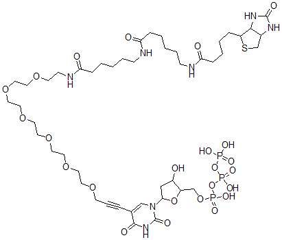CAS 登录号：145396-04-9， 生物素-36-脱氧三磷酸尿苷