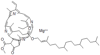 CAS#: 14751-08-7, Protochlorophyll a