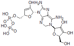 CAS#: 151898-25-8, [(2S,5R)-5-[6,8-Diamino-1-[(2R,5R)-3,4-Dihydroxy-5-(Hydroxymethyl)-2,5-Dihydrofuran-2-Yl]-2H-Purin-9-Yl]-4-Hydroxy-2,5-Dihydrofuran-2-Yl]Methyl Phosphono Hydrogen Phosphate