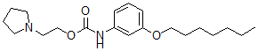 CAS#: 152676-77-2, 2-Pyrrolidin-1-Ylethyl N-(3-Heptoxyphenyl)Carbamate