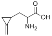 CAS#: 156-56-9, (2S)-2-Amino-3-[(1S)-2-Methylidenecyclopropyl]Propanoic Acid