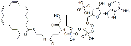 CAS#: 17046-56-9, S-[2-[3-[[(2R)-4-[[[(2R,3R,5R)-5-(6-Aminopurin-9-Yl)-4-Hydroxy-3-Phosphonooxyoxolan-2-Yl]Methoxy-Hydroxyphosphoryl]Oxy-Hydroxyphosphoryl]Oxy-2-Hydroxy-3,3-Dimethylbutanoyl]Amino]Propanoylamino]Ethyl] (5Z,8Z,11Z,14Z)-Icosa-5,8,11,14-Tetraenethioate