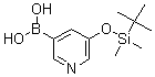 CAS#: 173999-08-1, 5-([Tert-Butyl(Dimethyl)Silyl]Oxy)Pyridine-3-Boronic Acid
