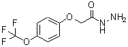 CAS#: 175204-36-1, 2-[4-(Trifluoromethoxy)Phenoxy]Acetohydrazide