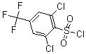 CAS 登录号：175205-76-2， 2,6-二氯-4-(三氟甲基)-苯磺酰氯