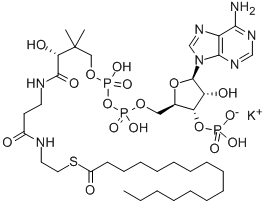CAS 登录号：1763-10-6， 辅酶 A-S-十六烷酸酯