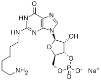 CAS#: 205368-58-7, N-(6-Aminohexyl)-Guanosine Cyclic 3',5'-(Hydrogen Phosphate)