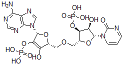CAS#: 20787-33-1, Cyclo(adenylyl(3'-5')uridine monophosphate)
